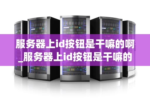 服务器上id按钮是干嘛的啊_服务器上id按钮是干嘛的啊_服务器上ID按钮的功能与应用