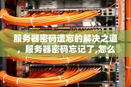 服务器密码遗忘的解决之道，服务器密码忘记了,怎么重置