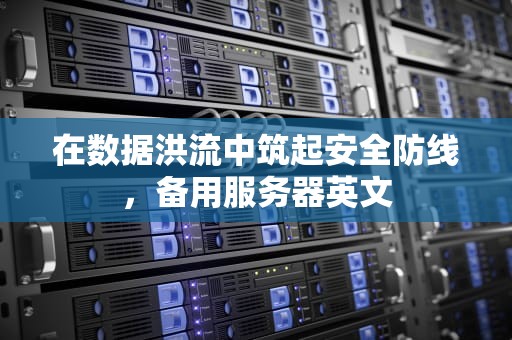 在数据洪流中筑起安全防线，备用服务器英文