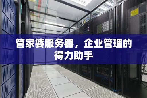管家婆服务器，企业管理的得力助手