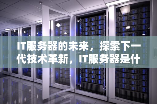 IT服务器的未来，探索下一代技术革新，IT服务器是什么