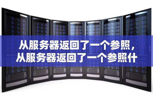 从服务器返回了一个参照，从服务器返回了一个参照什么意思