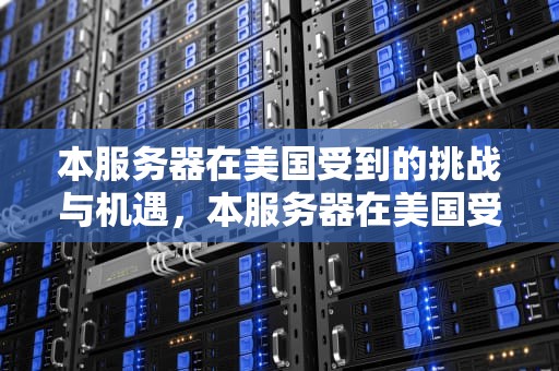 本服务器在美国受到的挑战与机遇，本服务器在美国受到法律保护