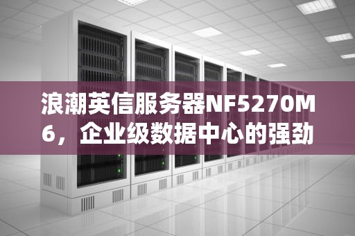 浪潮英信服务器NF5270M6，企业级数据中心的强劲引擎，浪潮英信服务器nf5270m6光盘装系统