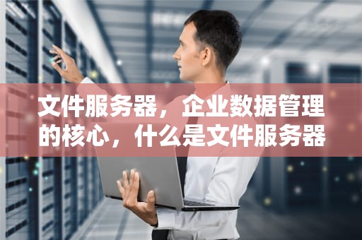 文件服务器，企业数据管理的核心，什么是文件服务器资源管理器