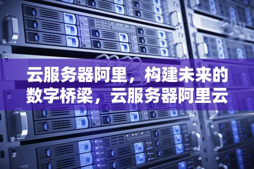 云服务器阿里，构建未来的数字桥梁，云服务器阿里云