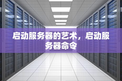 启动服务器的艺术，启动服务器命令
