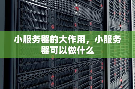 小服务器的大作用，小服务器可以做什么