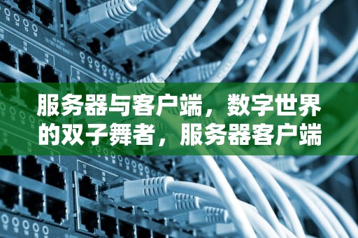 服务器与客户端，数字世界的双子舞者，服务器客户端有什么区别