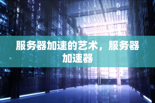 服务器加速的艺术，服务器加速器