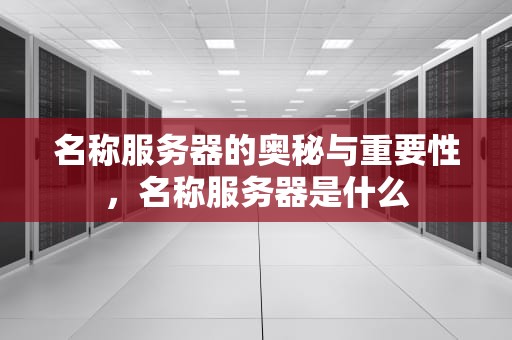 名称服务器的奥秘与重要性，名称服务器是什么