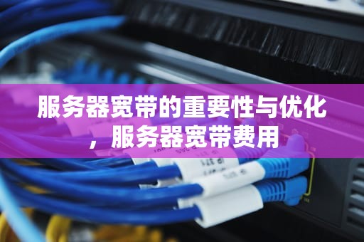 服务器宽带的重要性与优化，服务器宽带费用