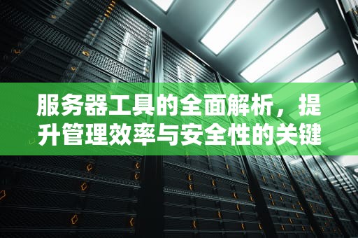 服务器工具的全面解析，提升管理效率与安全性的关键，服务器工具软件