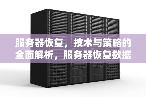服务器恢复，技术与策略的全面解析，服务器恢复数据软件哪个好