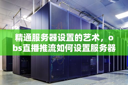精通服务器设置的艺术，obs直播推流如何设置服务器