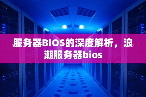 服务器BIOS的深度解析，浪潮服务器bios