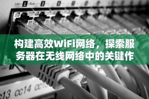 构建高效WiFi网络，探索服务器在无线网络中的关键作用，wifi服务器地址在哪里查看