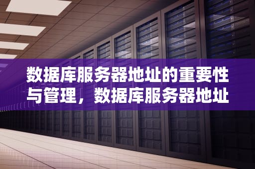 数据库服务器地址的重要性与管理，数据库服务器地址怎么查