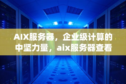AIX服务器，企业级计算的中坚力量，aix服务器查看内存和cpu