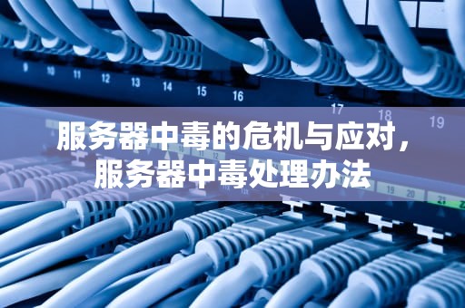 服务器中毒的危机与应对，服务器中毒处理办法