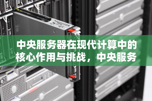 中央服务器在现代计算中的核心作用与挑战，中央服务器下载
