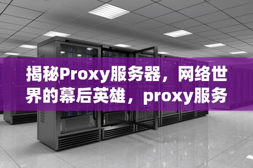 揭秘Proxy服务器，网络世界的幕后英雄，proxy服务器ps4怎么填