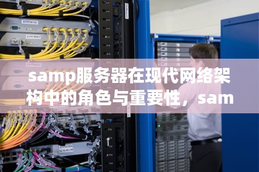 samp服务器在现代网络架构中的角色与重要性，samp服务器推荐