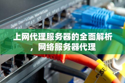 上网代理服务器的全面解析，网络服务器代理