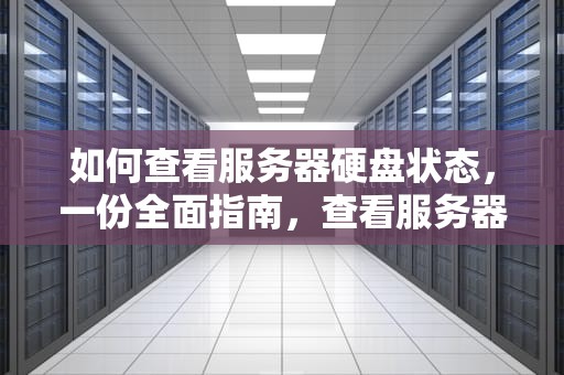 如何查看服务器硬盘状态，一份全面指南，查看服务器硬盘容量