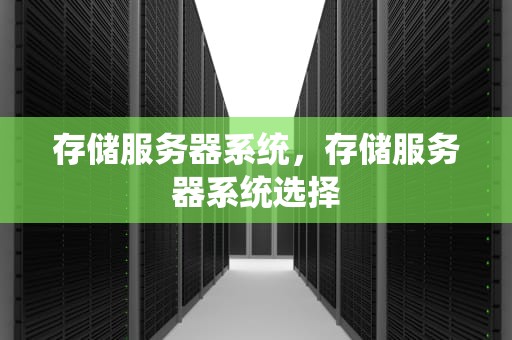 存储服务器系统，存储服务器系统选择