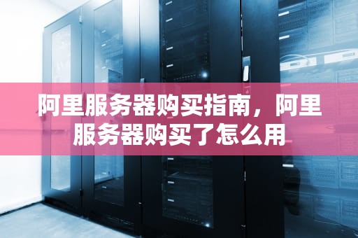 阿里服务器购买指南，阿里服务器购买了怎么用