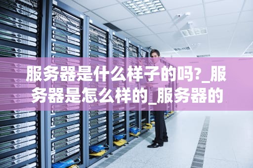 服务器是什么样子的吗?_服务器是怎么样的_服务器的形态与功能