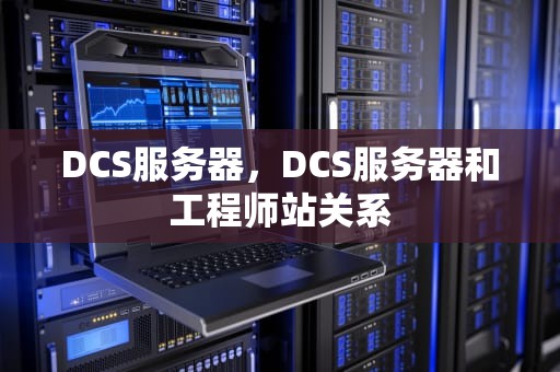 DCS服务器，DCS服务器和工程师站关系