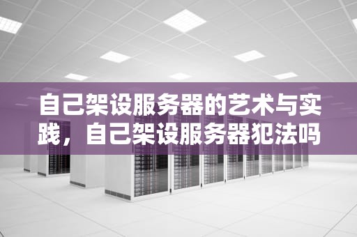 自己架设服务器的艺术与实践，自己架设服务器犯法吗