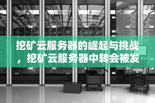 挖矿云服务器的崛起与挑战，挖矿云服务器中转会被发现吗