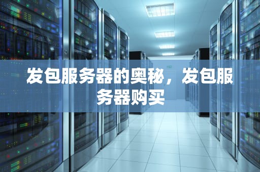 发包服务器的奥秘，发包服务器购买