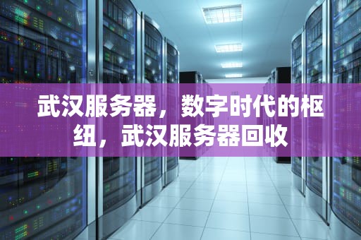 武汉服务器，数字时代的枢纽，武汉服务器回收