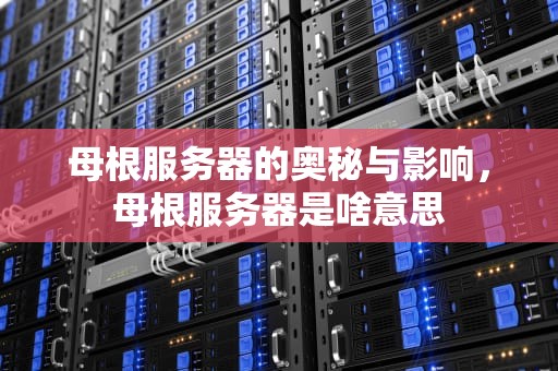 母根服务器的奥秘与影响，母根服务器是啥意思