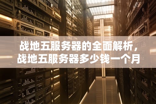 战地五服务器的全面解析，战地五服务器多少钱一个月
