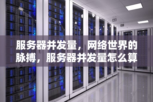 服务器并发量，网络世界的脉搏，服务器并发量怎么算