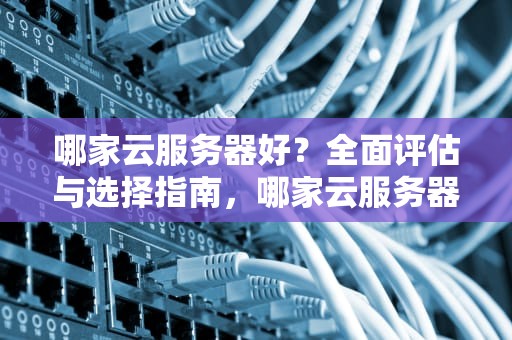哪家云服务器好？全面评估与选择指南，哪家云服务器好用