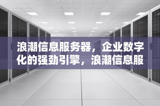 浪潮信息服务器，企业数字化的强劲引擎，浪潮信息服务器芯片来源