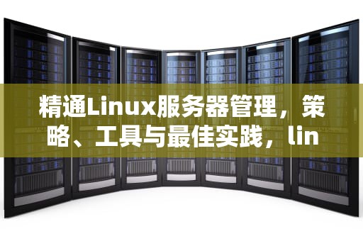 精通Linux服务器管理，策略、工具与最佳实践，linux服务器管理软件
