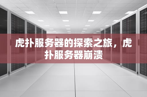 虎扑服务器的探索之旅，虎扑服务器崩溃
