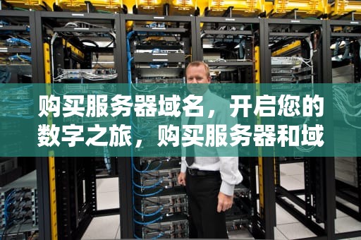 购买服务器域名，开启您的数字之旅，购买服务器和域名之后怎么使用