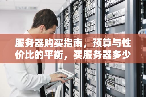 服务器购买指南，预算与性价比的平衡，买服务器多少钱一台
