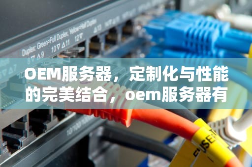OEM服务器，定制化与性能的完美结合，oem服务器有哪些品牌