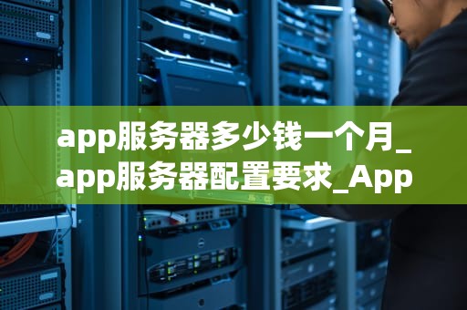 app服务器多少钱一个月_app服务器配置要求_App服务器费用分析与选择