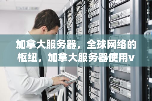 加拿大服务器，全球网络的枢纽，加拿大服务器使用vsping工具