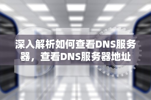 深入解析如何查看DNS服务器，查看DNS服务器地址